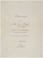 KT 2009 028 (1-256)
<br/>
Aquarellen van inlandsche en niet inlandsche vogels
<br/>
<em>Trigt, Stephanus Hendrik Willem van (1790-1840)</em>